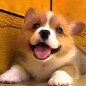 Meet your Posher, Kendra